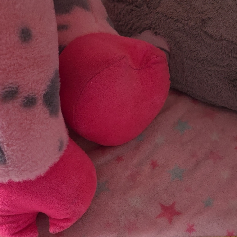 Big Pink and Gray Pig Plush Toy - Picture 3 of 9